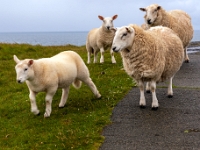 Isle of Skye, Neist Point